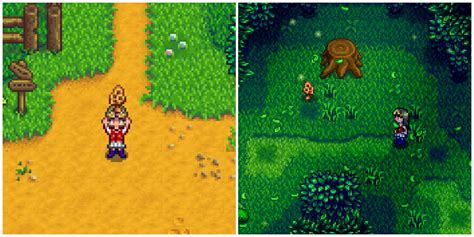 stardew valley star tokens.